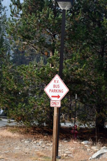 a vertical shot of a sign of recreational vehicle bus parking only