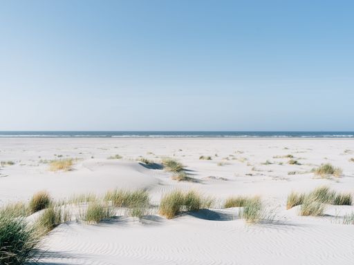 The Juist Island in Germany under the blue sky with plants on its white sand