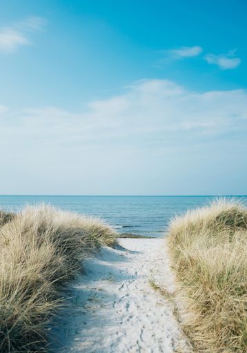 A vertical shot of a pathway leading to the beach at the ocean shore