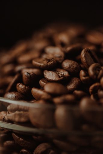 A closeup shot of roasted coffee beans on blurred background