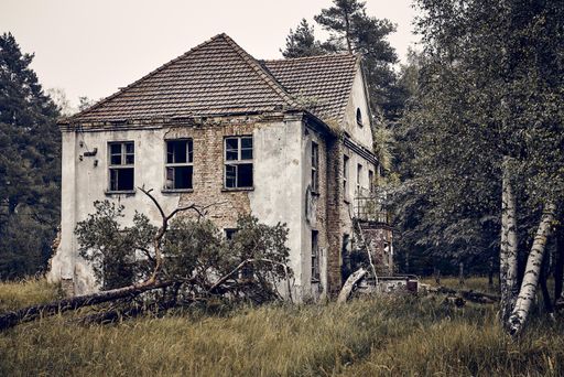 An old abandoned house on a grassy field surrounded by trees