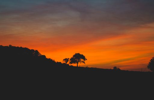 A silhouette of trees on a hill during sunrise in Savanna