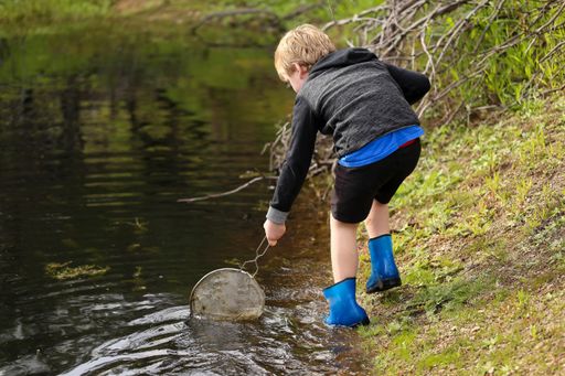 A blonde child trying to catch some fish with a hand net