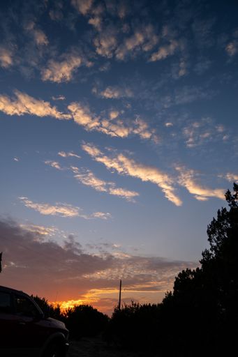 A vertical shot of a sunset sky with little clouds over the tree silhouettes