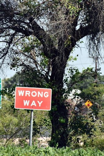 A vertical shot of a red sign "wrong way" in the forest
