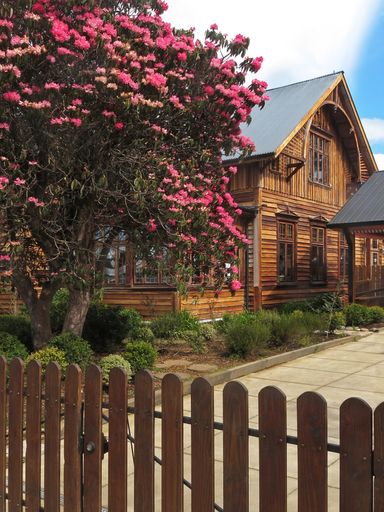 A wooden house with a pink blossoming tree under the cloudy sky