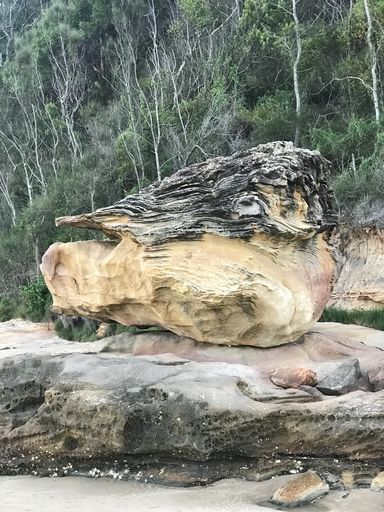 A vertical shot of a huge piece of wood on a rock formation near the lake