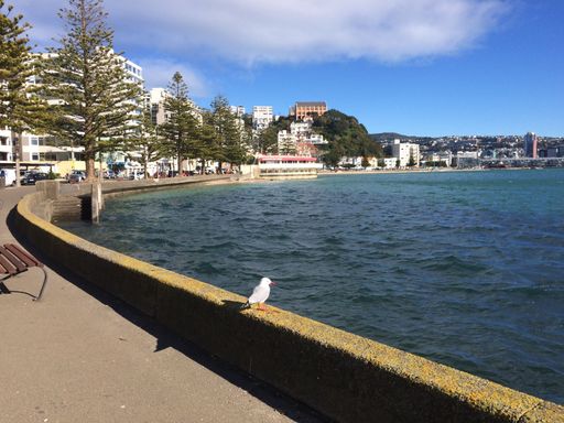 A seagull standing on promenade wall, with a wavy sea and cityscape in the background, on a sunny day
