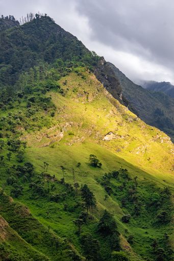 A vertical view of Nepali lower altitude mountain forests on the road from Pokhara to Jomsom near Tatopani, with green slopes and cloudy sky