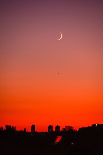A vertical shot of the silhouettes of a city under the red-colored sky the with the half-moon