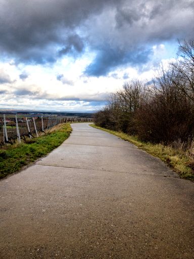 A vertical shot of a curvy paved road going through a rural vineyard landscape under a cloudy sky
