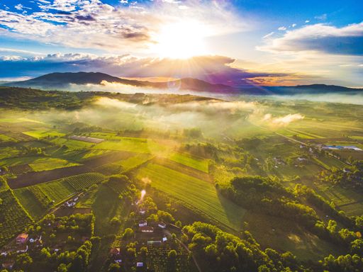 A fantastic shot of farm fields covered in early morning fog during sunrise