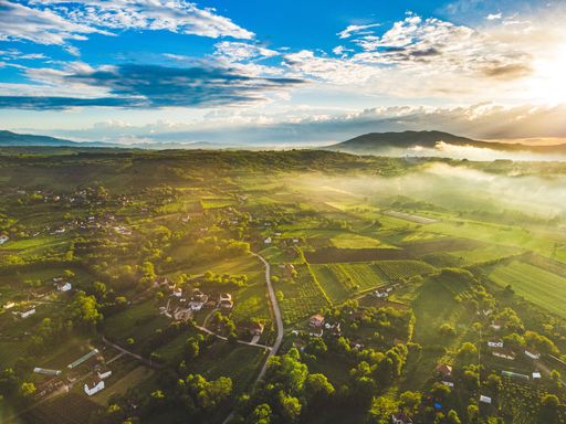 A fantastic shot of farm fields covered in early morning fog during sunrise
