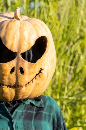A person wearing a pumpkin on his head