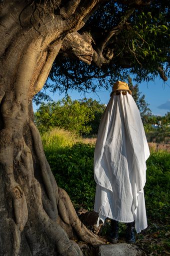 A ghost standing in the park - Halloween concept