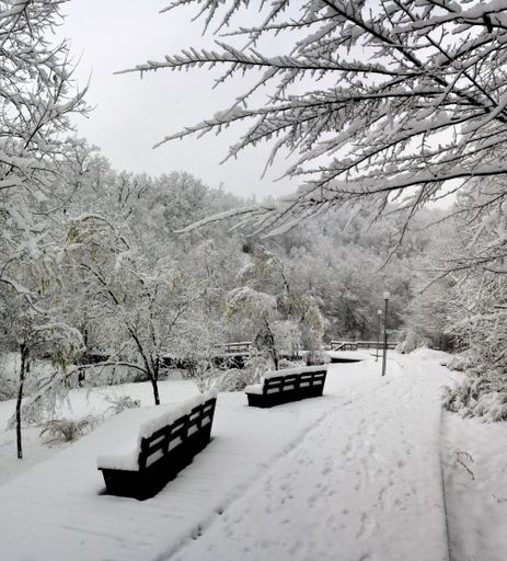 A vertical shot from the park alley in Sovata resort in winter