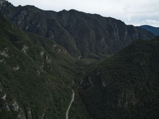 An aerial shot of a valley in Slovenia covered with forest