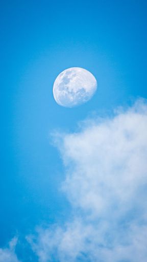 The moon on a blue day sky
