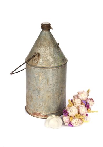 A vertical shot of a rusty retro milk can and garlic isolated on a white background