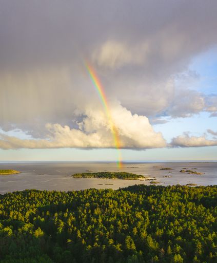 A beautiful view of the surrounded by tree forests with the rainbow in the background in Norway