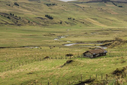 A wooden hut in a green valley in the Ecuadorian high mountains