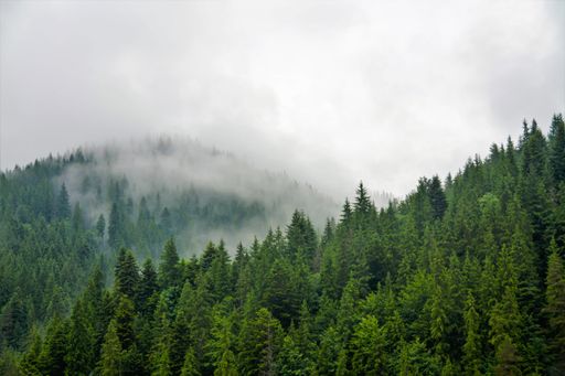 A beautiful shot of fog over the mountains after the rain