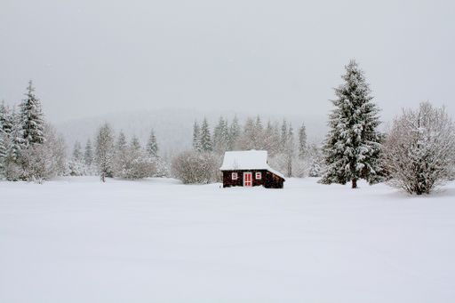 A majestic winter landscape with a small rural wooden house surrounded by trees covered with snow