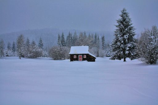 A majestic winter landscape with a small rural wooden house surrounded by trees covered with snow