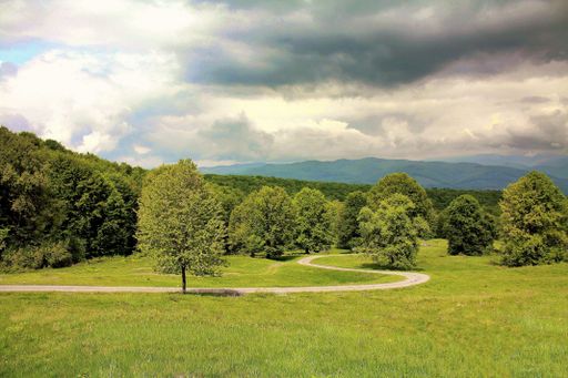 A rainy cloudscape over a curvy narrow walkway winding through a densely forested area