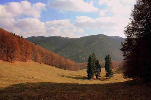 An amazing cloudscape over a densely forested area covered with lush dry autumn vegetation