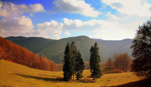 An amazing cloudscape over a densely forested area covered with lush dry autumn vegetation