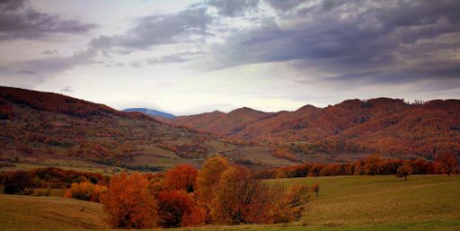 A panoramic view of a rainy cloudscape over a densely forested area covered with lush dry autumn vegetation