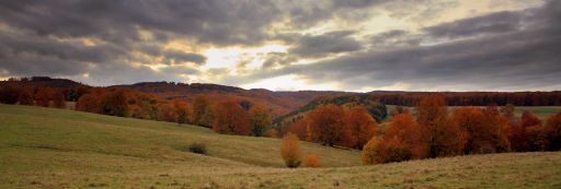 A panoramic view of a rainy cloudscape over a densely forested area covered with lush dry autumn vegetation
