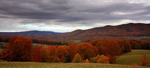 A panoramic view of a rainy cloudscape over a densely forested area covered with lush dry autumn vegetation