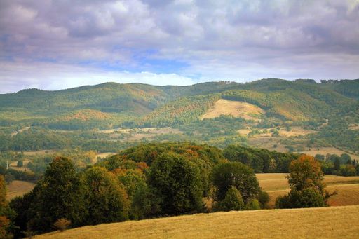A rainy cloudy sky over a forested mountain range covered with autumn dense foliage