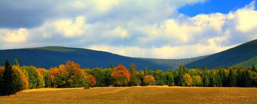 A beautiful panoramic view of a cloudy sky over a field covered with autumn colorful tree foliage