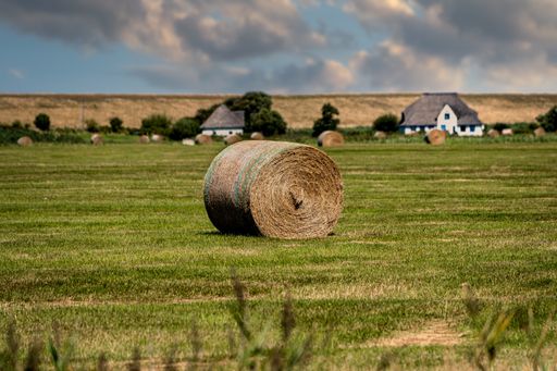 A closeup shot of hay in the field under a cloudy sky in Westerhever, North Sea, Germany