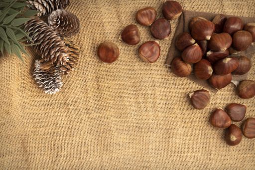 A top view of chestnuts with pine cones