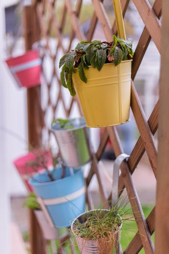 A selective focus vertical shot of a colorful bucket flower pot with different plants on a wooden criss-cross fence