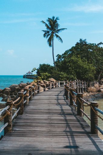 A vertical shot of a boardwalk near the sea surrounded by green trees