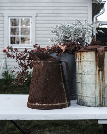 A selective focus closeup of rusty old cans used as flower pot planted with flowers