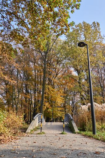 A vertical shot of a bridge surrounded by trees in a park under the sunlight in autumn