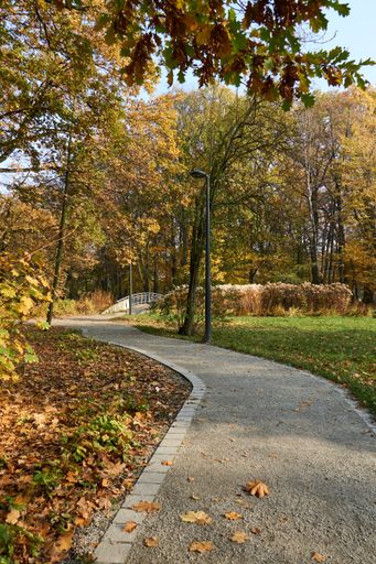 A vertical shot of a pathway in a park covered in trees and dried leaves under the sunlight in autumn
