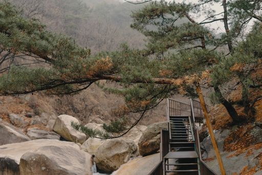 A metallic stair under the tree branches near the big stones in Korea