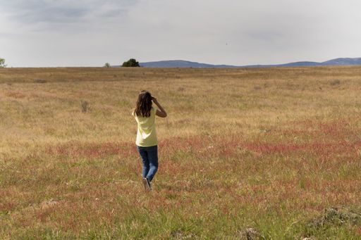 A brunette woman walking by herself in a large yellow field during dayl