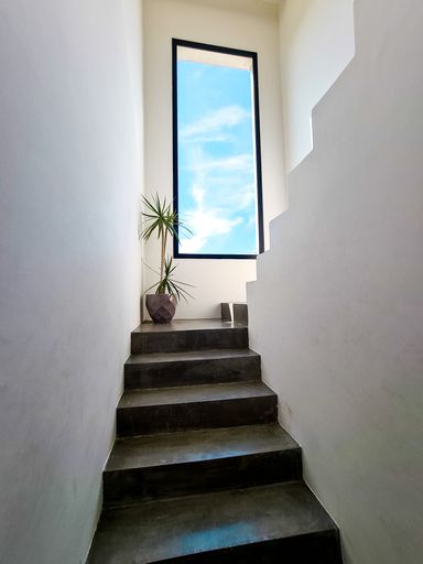 A vertical shot of a staircase in a modern house