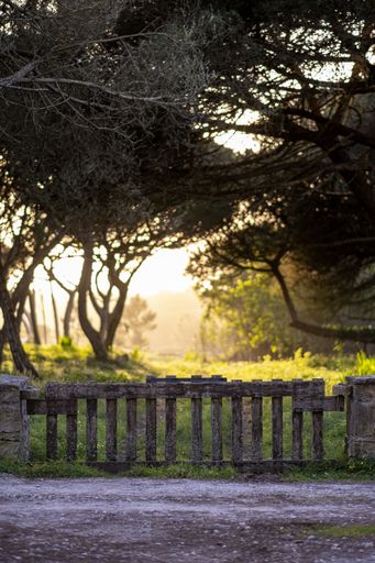 A vertical shot of wooden fence on background of a sunny park