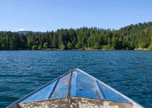 A closeup shot of a rusty boat in a lake in a forest