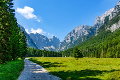 A closeup shot of a road and trees in grassland surrounded by scenic mountains