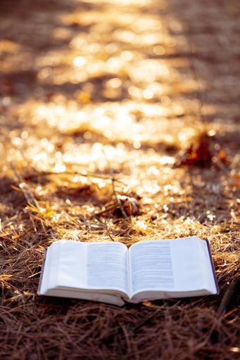 A vertical selective focus shot of an open book on the ground